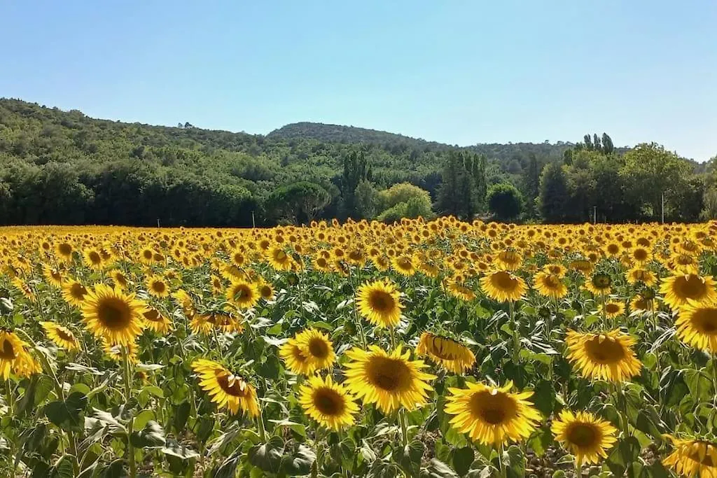 Holiday home Vakantiehuis “Le Verbe” In De Drome Provencale Le Poet-Laval France