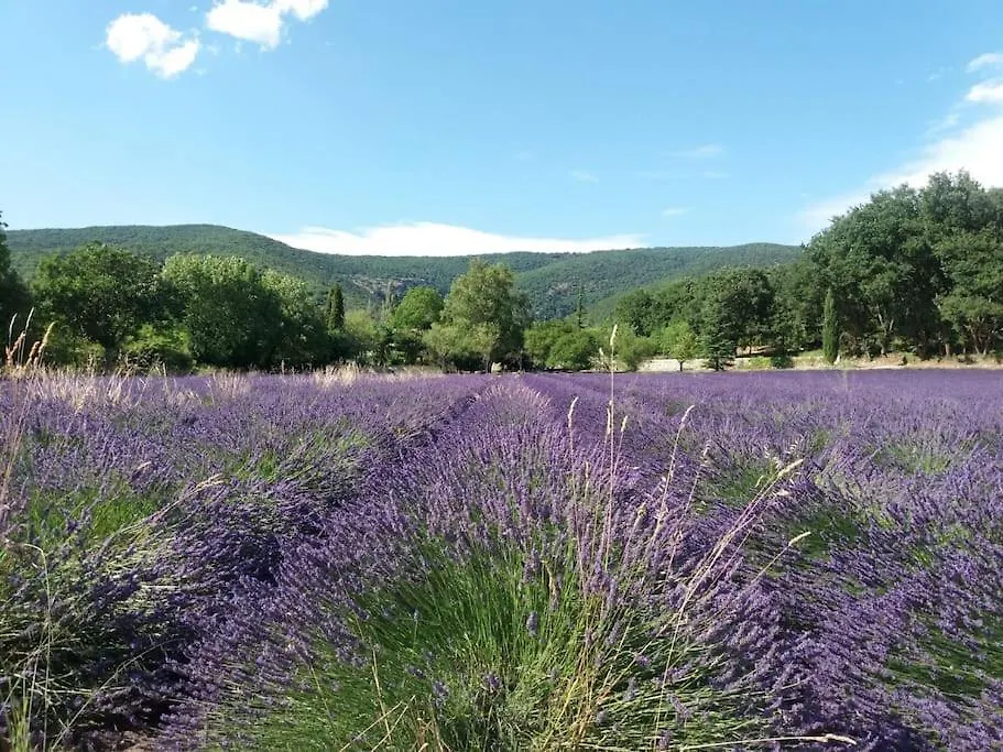Vakantiehuis “Le Verbe” In De Drome Provencale Le Poet-Laval Holiday home