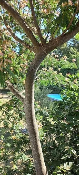 Vakantiehuis “Le Verbe” In De Drome Provencale Le Poet-Laval